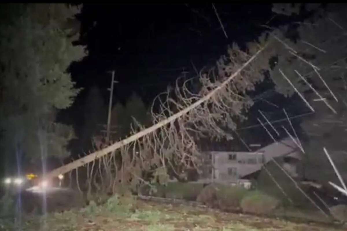 Una bombogénesis deja una mujer muerta y 600.000 casas sin luz en el noroeste de EEUU