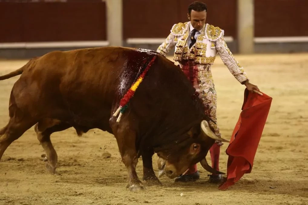 Ferrera, de la encerrona por el centenario de Gallito en el San Isidro suspendido a los seis toros de Badajoz