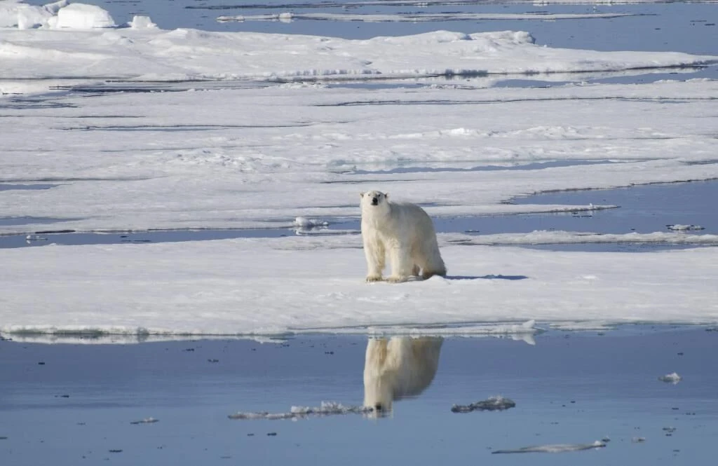 La Tierra podría llegar por primera vez a 1,5 grados de calentamiento climático entre 2021 y 2025