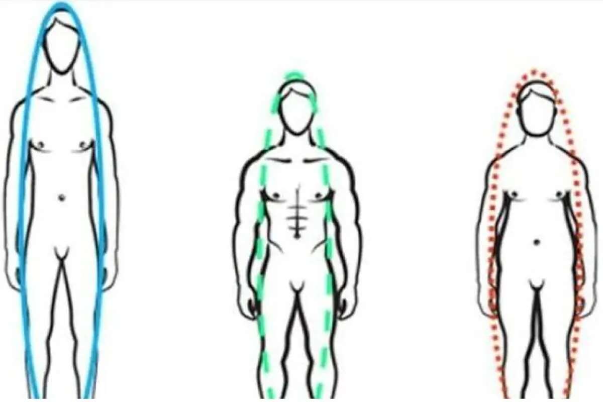 ¿Qué forma tiene tu cuerpo? Este nuevo índice corporal es más eficaz para detectar un posible problema de salud