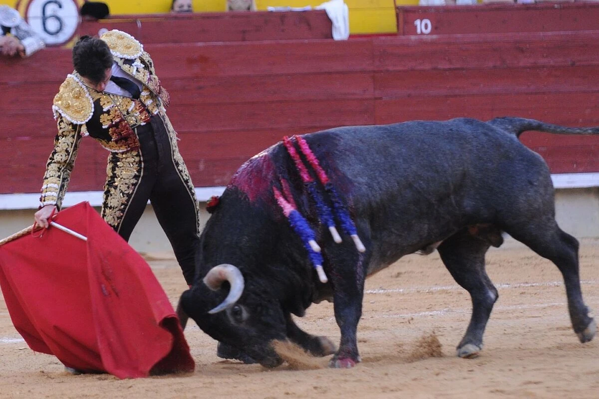 Incontestable sincronía de Luque y 'Tomatillo'