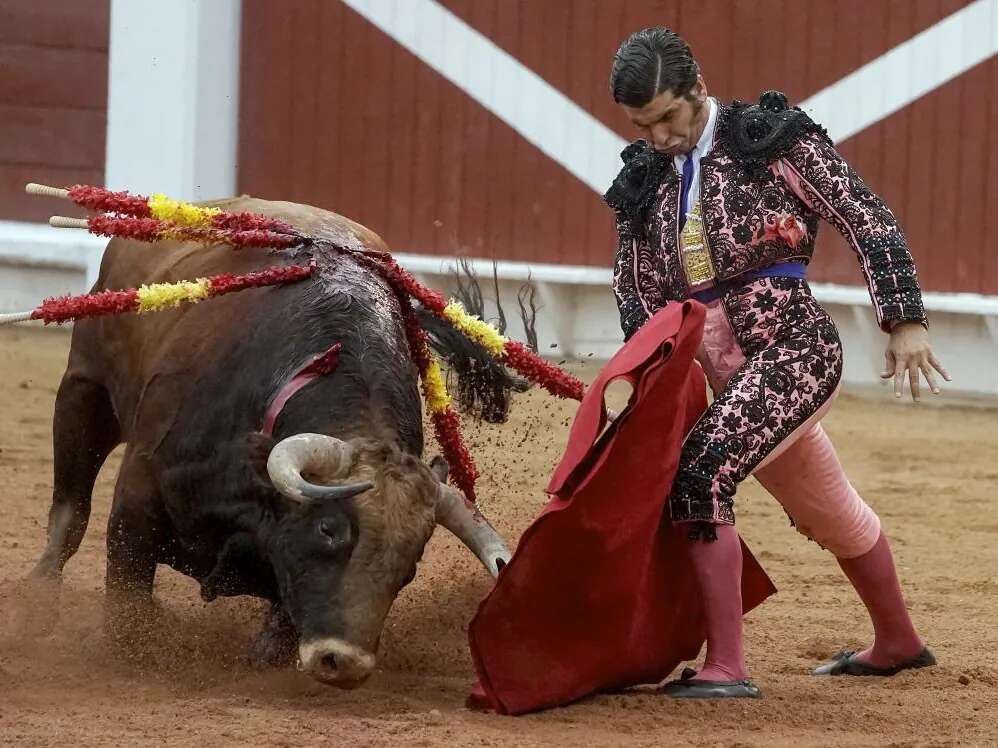 Morante de la Puebla no reaparecerá hasta Sevilla, cuando arrancará su temporada de 2025