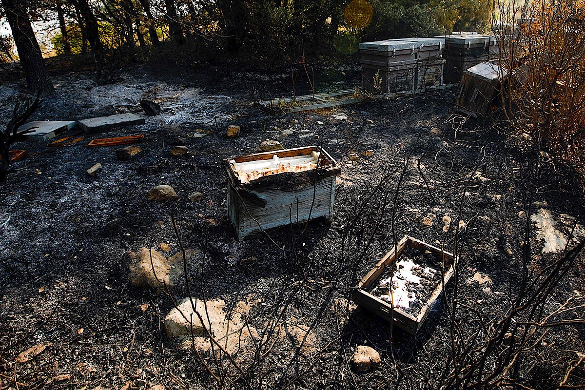 Incendios: compromiso más allá de hacerse la foto