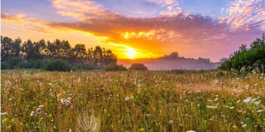 Свіжість розбавить літнє тепло. Синоптикиня повідомила, що вплине на зниження літніх градусів в Україні завтра