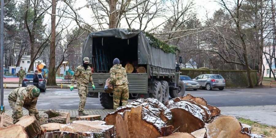 У Криму росіяни вирубують дерева в парках, а потім відправляють дрова для облаштування бліндажів