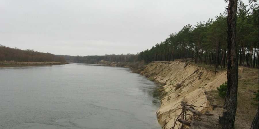 В Київській області у річці Десна виявили отруйні речовини, які несе течією від кордону з Росією