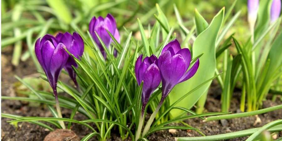 З перевищеннями норми. Синоптики надали коротку кліматичну характеристику погоди у березні