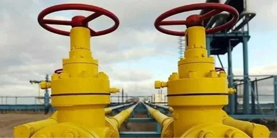 Одна з найбільших газових компаній України призначила тимчасового керівника