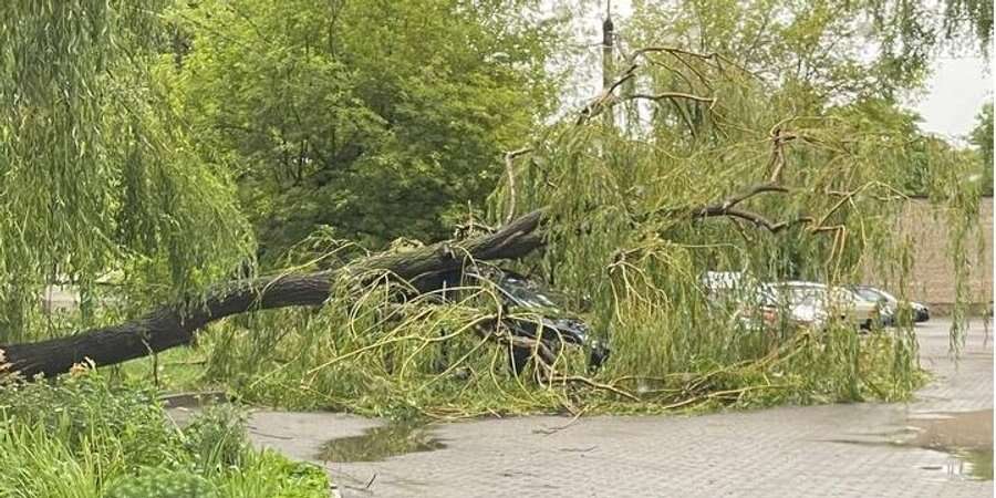 У Львові пройшла потужна гроза: дерева упали на автошляхи, частково не курсує електротранспорт