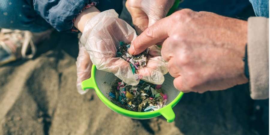 Нове дослідження показало наявність мікропластику у тілі новонародженого мишеняти