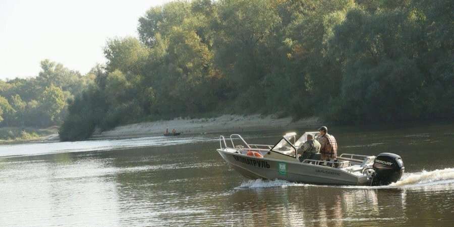 Забруднення води у річках: Десна у Чернігові потемніла, фіксується замор риби — Ломако