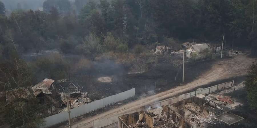 «Знищені та пошкоджені 308 будинків». Майже половина села Студенок згоріла через лісову пожежу на Харківщині - поліція