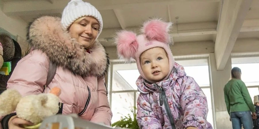 Допомога ВПО-2024. Які освітні пільги та можливості відпочинку передбачені для дітей-переселенців
