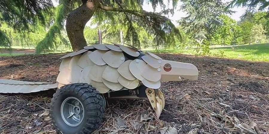 У конкурсі Natural Robotics Contest переміг робот у вигляді панголіна. Він уміє садити дерева