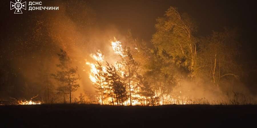 У Донецькій області четверту добу горить ліс після російських обстрілів Лиману — фото