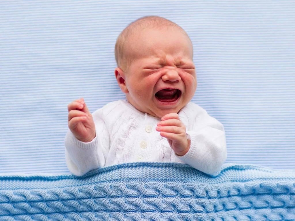 Wine bar bans children and Minogues