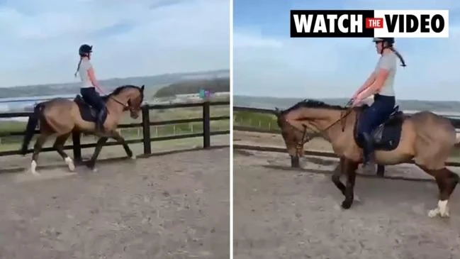 Horse rider model killed in savage attack