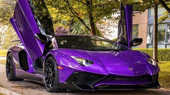 Licence cancelled for luxury car mogul