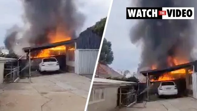Shed goes up in flames at Marino