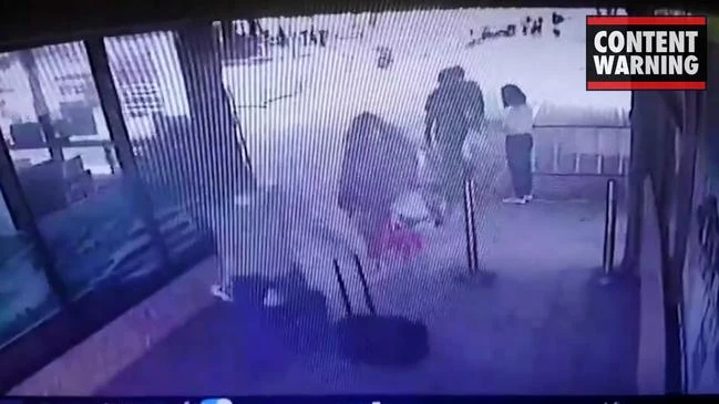 CCTV shows final moments of millionaire couple found dead Thailand's death island