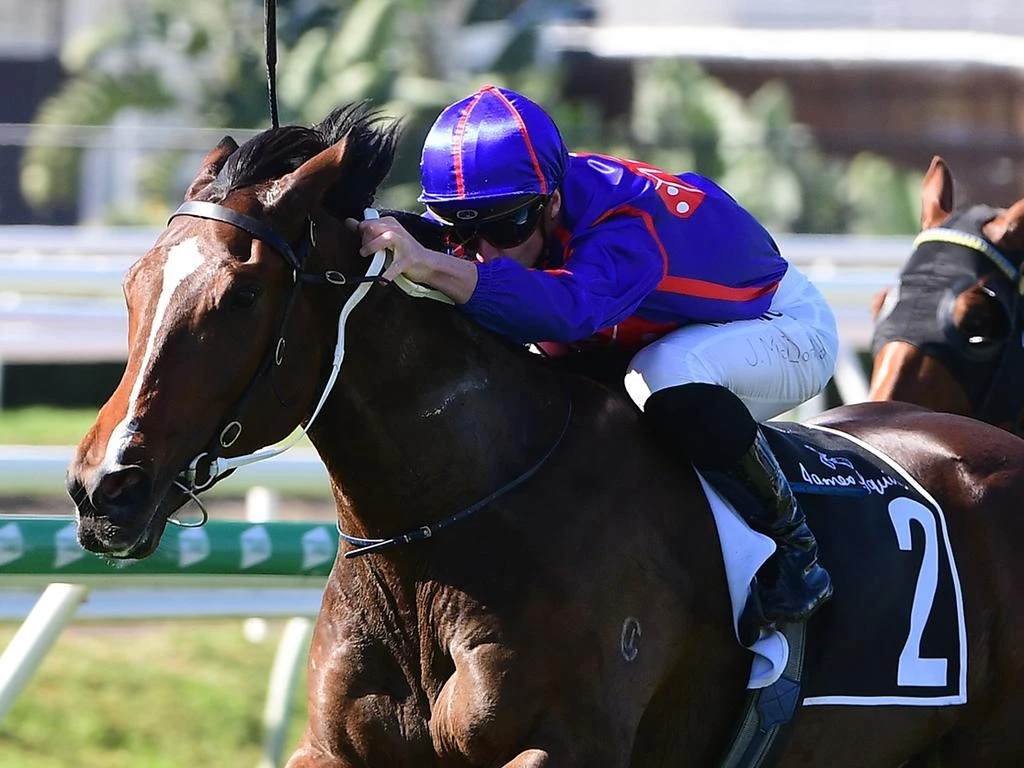 Price has rich spring race in mind for Ayrton