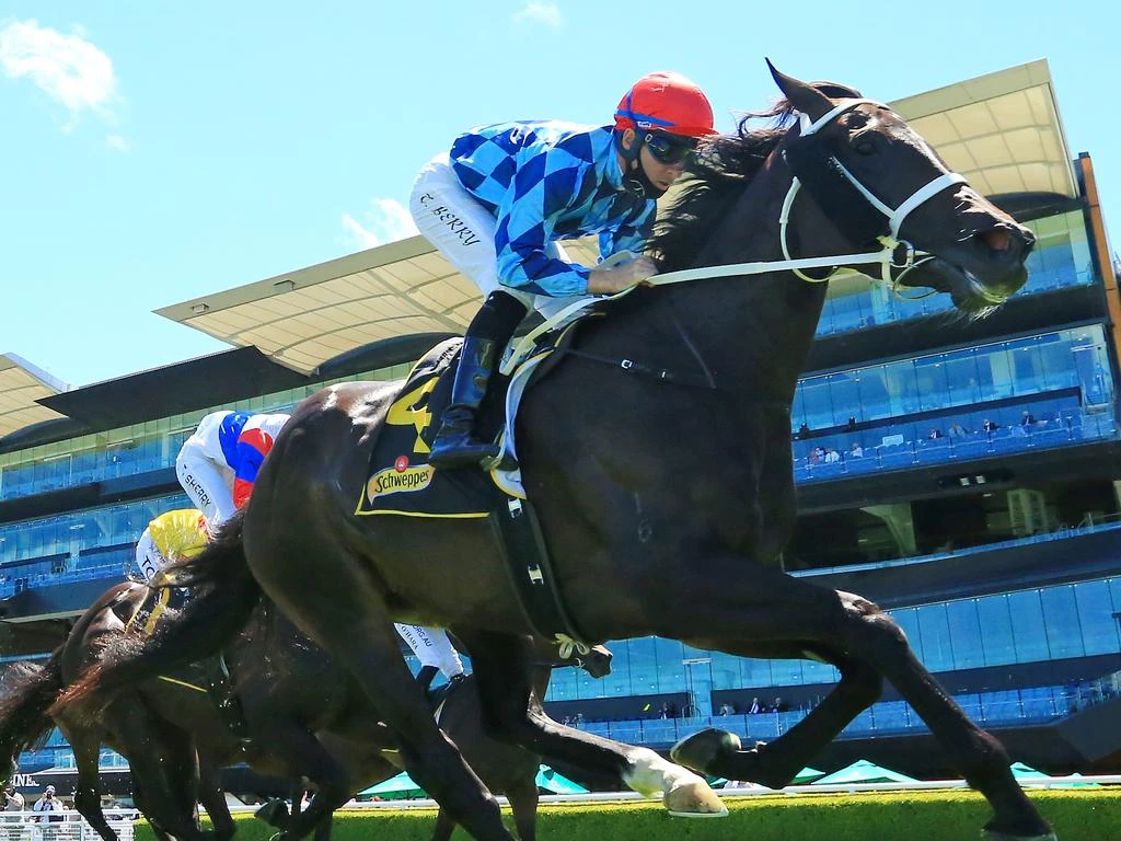 Covid lockdown forces Randwick meeting transfer