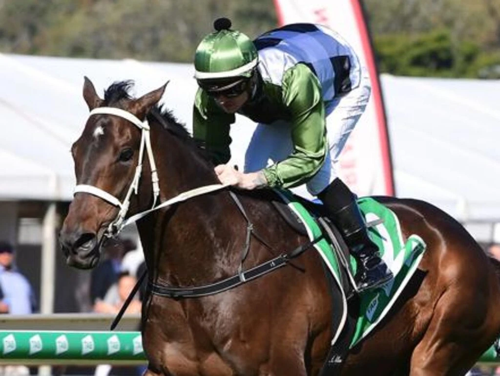 Connections pull surprise move with exciting stayer