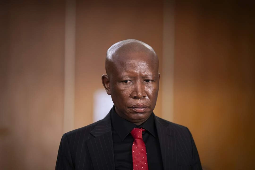 State calls Julius Malema’s arguments in firearms conviction appeal absurd