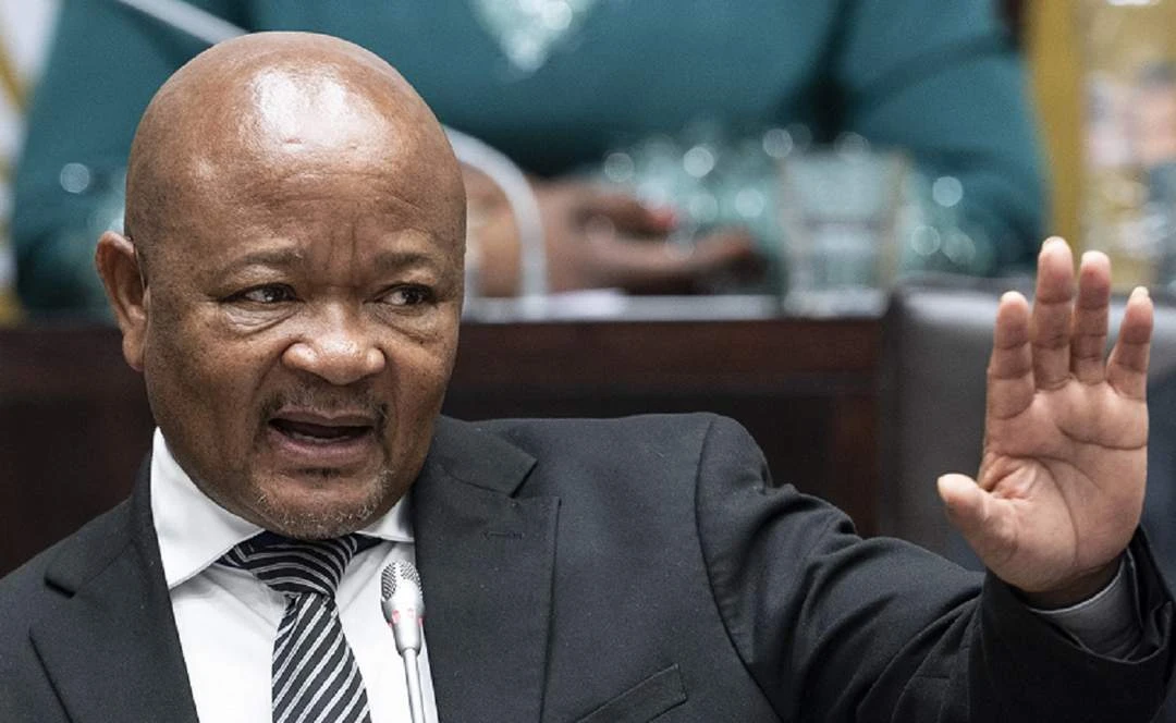Speaker asks 3 parliamentary committees to probe Senzo Mchunu allegations