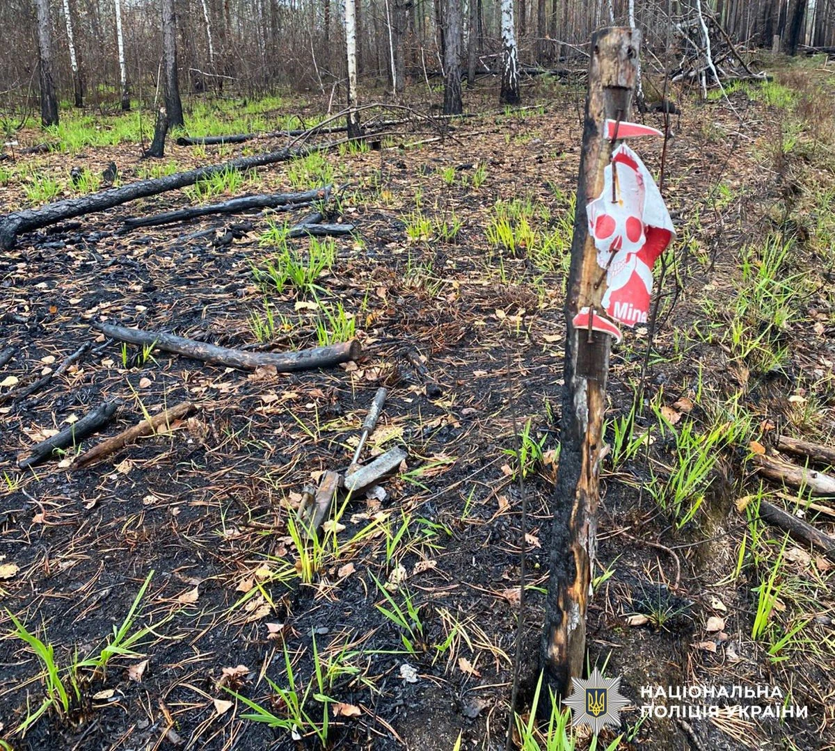 Ukraina. Eksplozje przy granicy z Białorusią. Nie żyje pięć osób