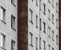Polacy kochają 