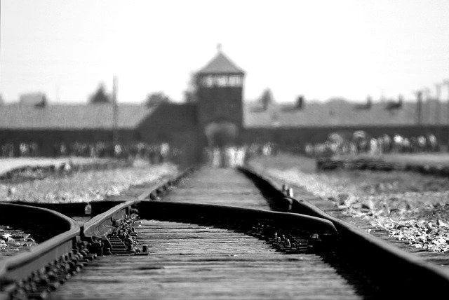 Niemcy. Szczątki ofiar Auschwitz na uczelni