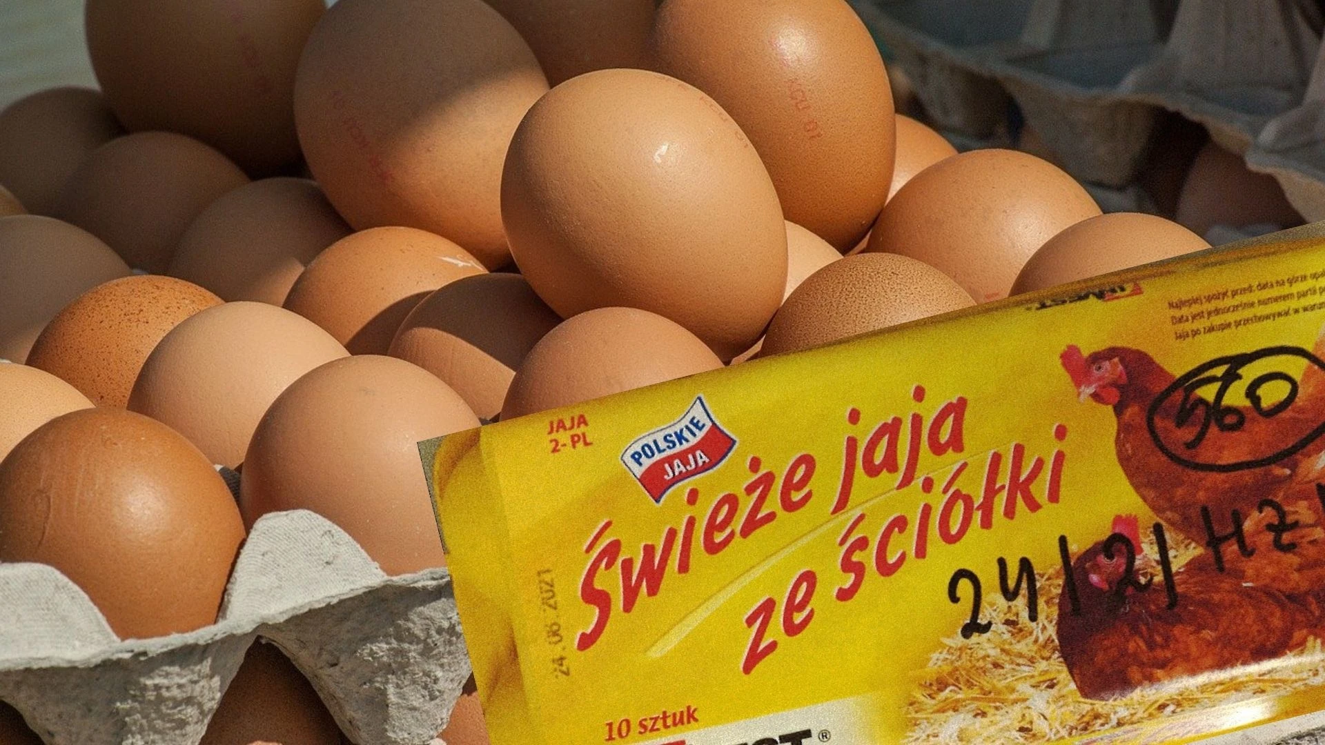 Ostrzeżenie GIS. Salmonella w popularnych jajkach. Uwaga. Bakteria jest na skorupkach