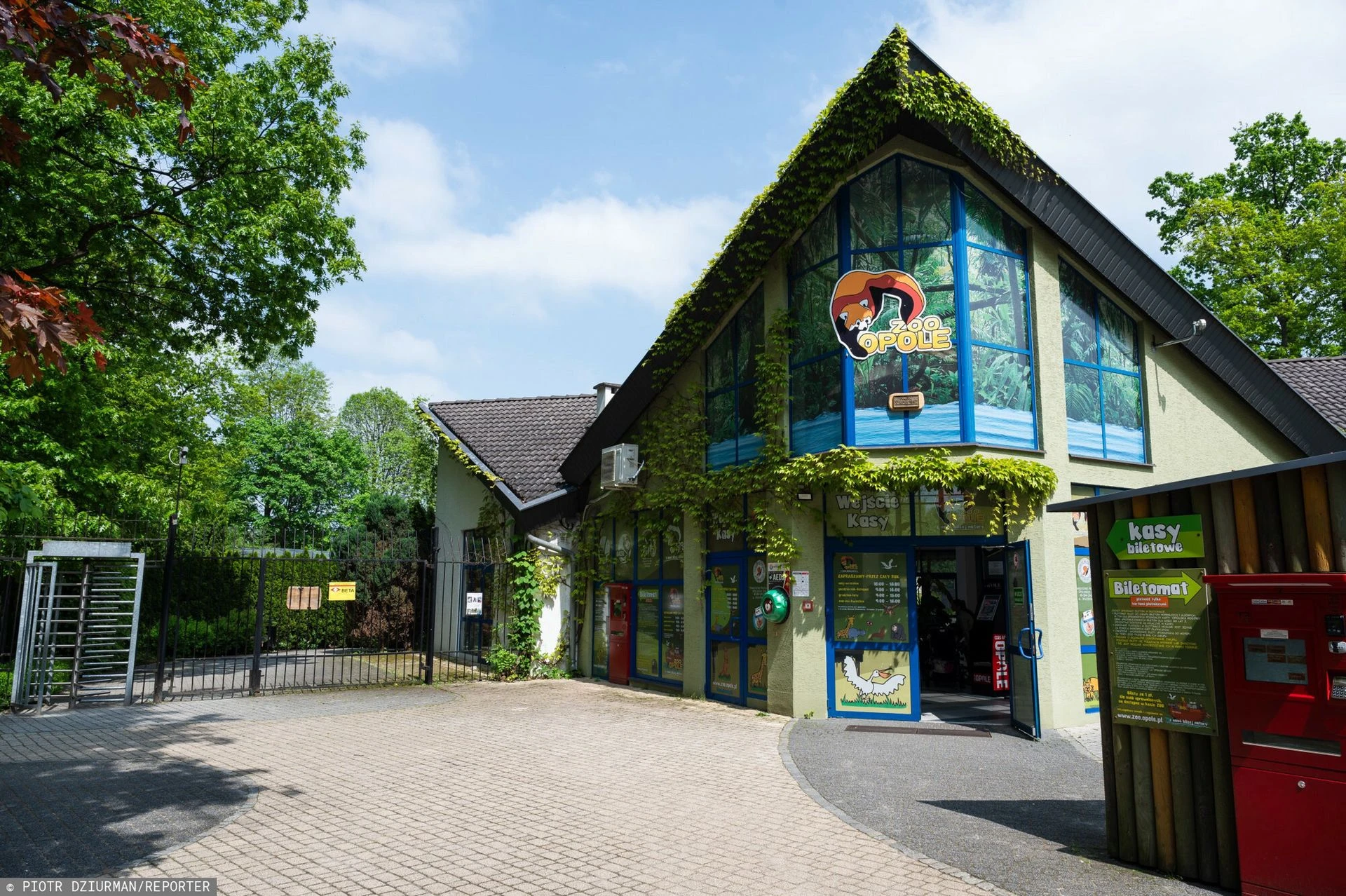 Odkrycie w opolskim zoo. Zwłoki zwierząt znalezione po latach