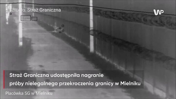 Próbowali nielegalnie przekroczyć granicę. Zostali złapani