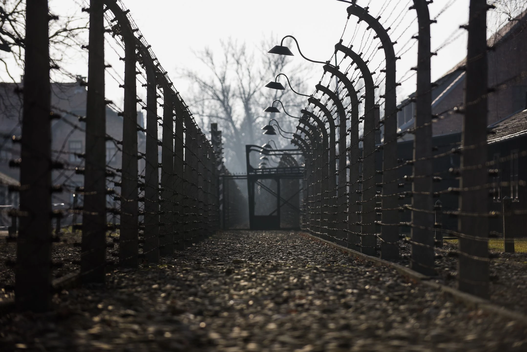Niemcy. Ludzkie szczątki na terenie berlińskiej uczelni. Mogą to być ofiary doktora z Auschwitz