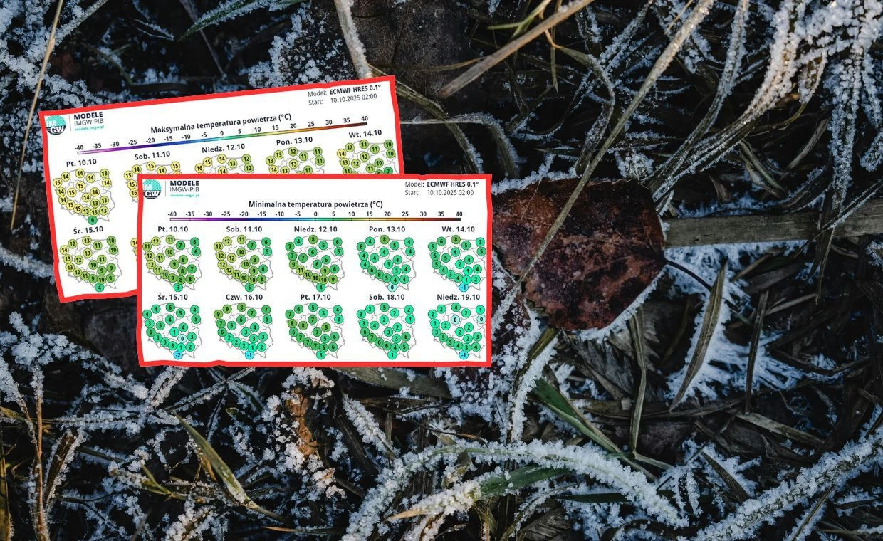 Chwilowe ocieplenie. Szybko jednak nadejdą przymrozki