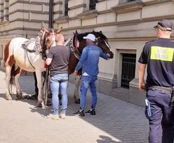 Poniedziałek rano, centrum Krakowa. Cud, że nic się nikomu nie stało