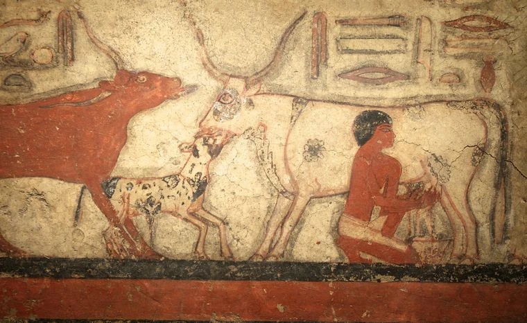 Niezwykłe odkrycie w Egipcie. Archeolodzy odsłonili trzy grobowce z okresu Nowego Państwa