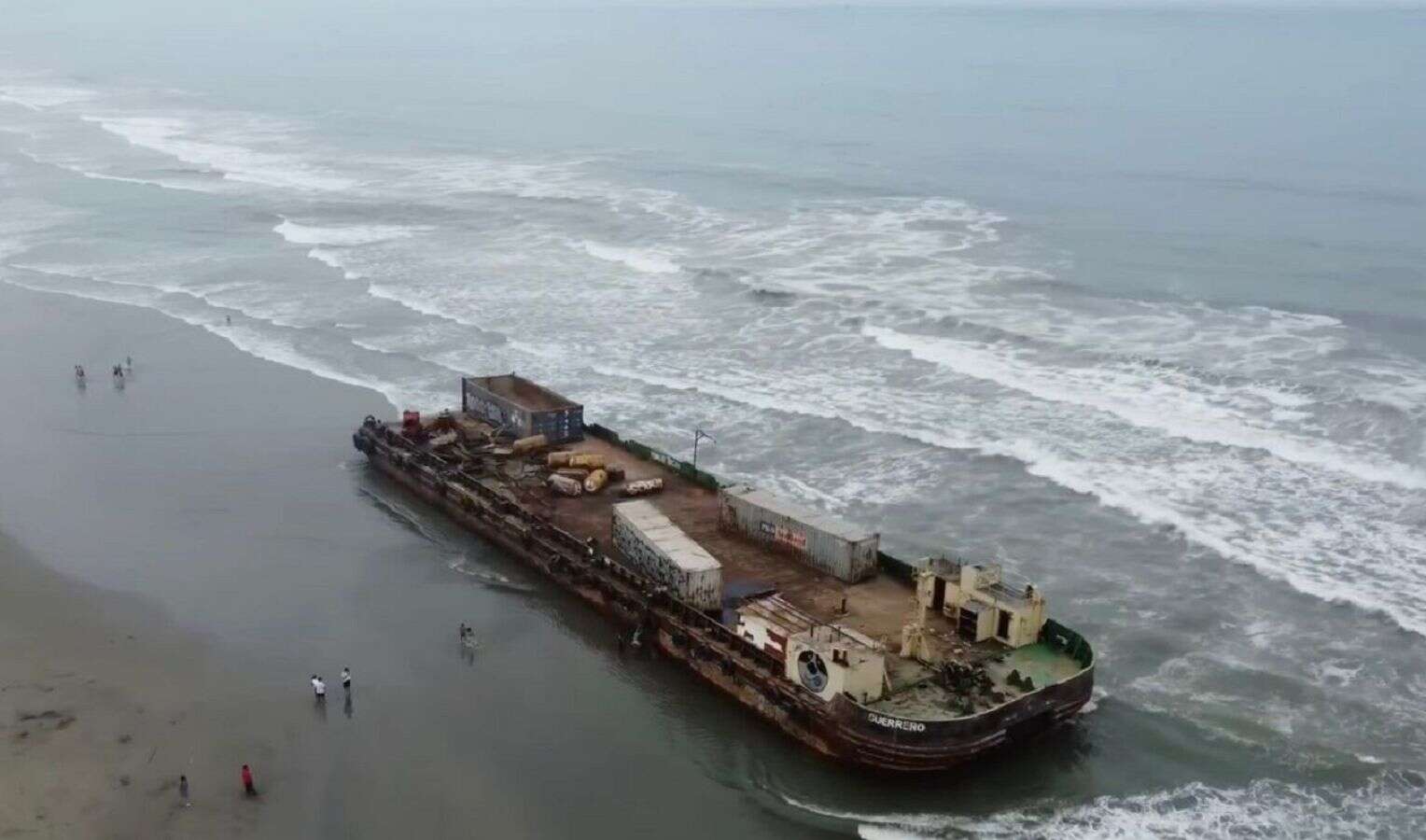 Fale wyrzuciły je na plażę. W Peru nikt nie wie, co się dokładnie stało