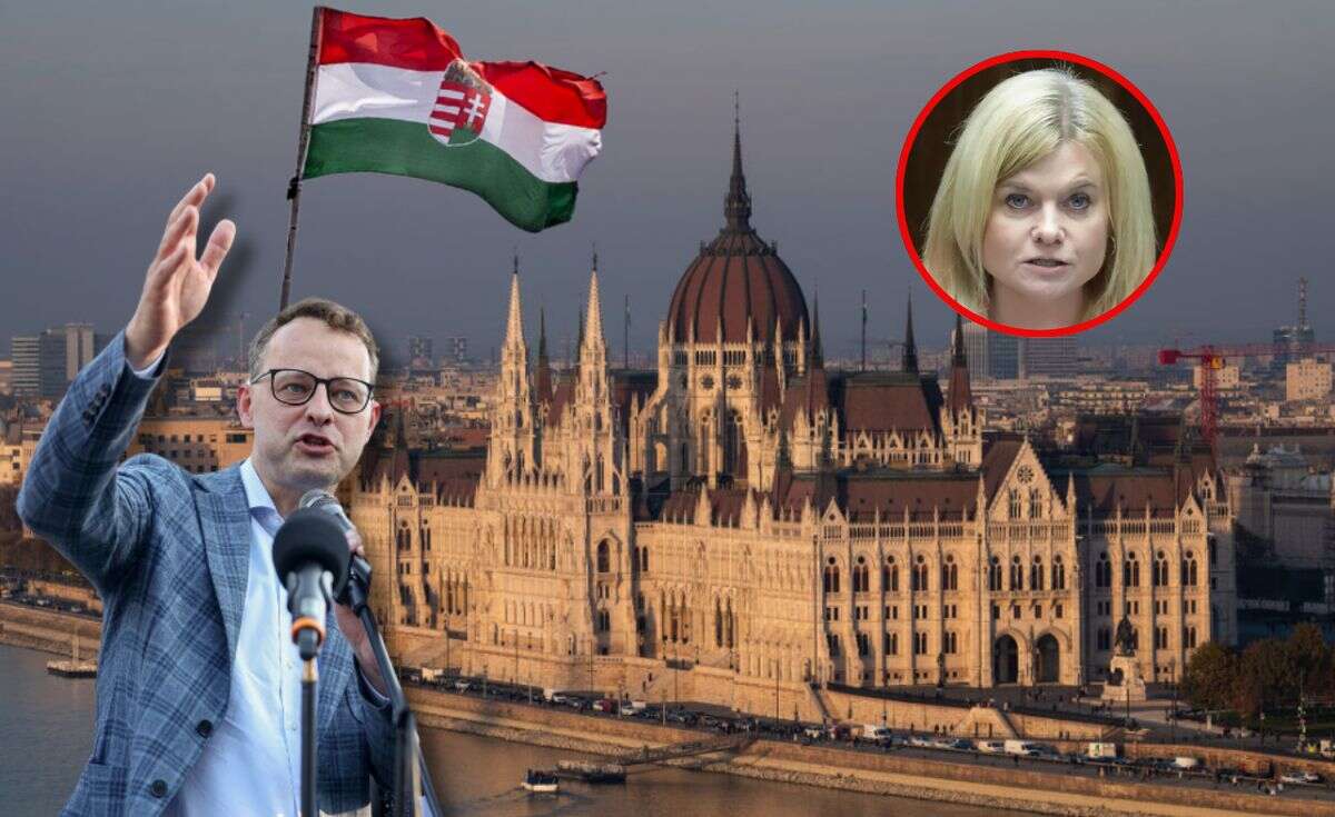 Romanowski posłem na emigracji? 