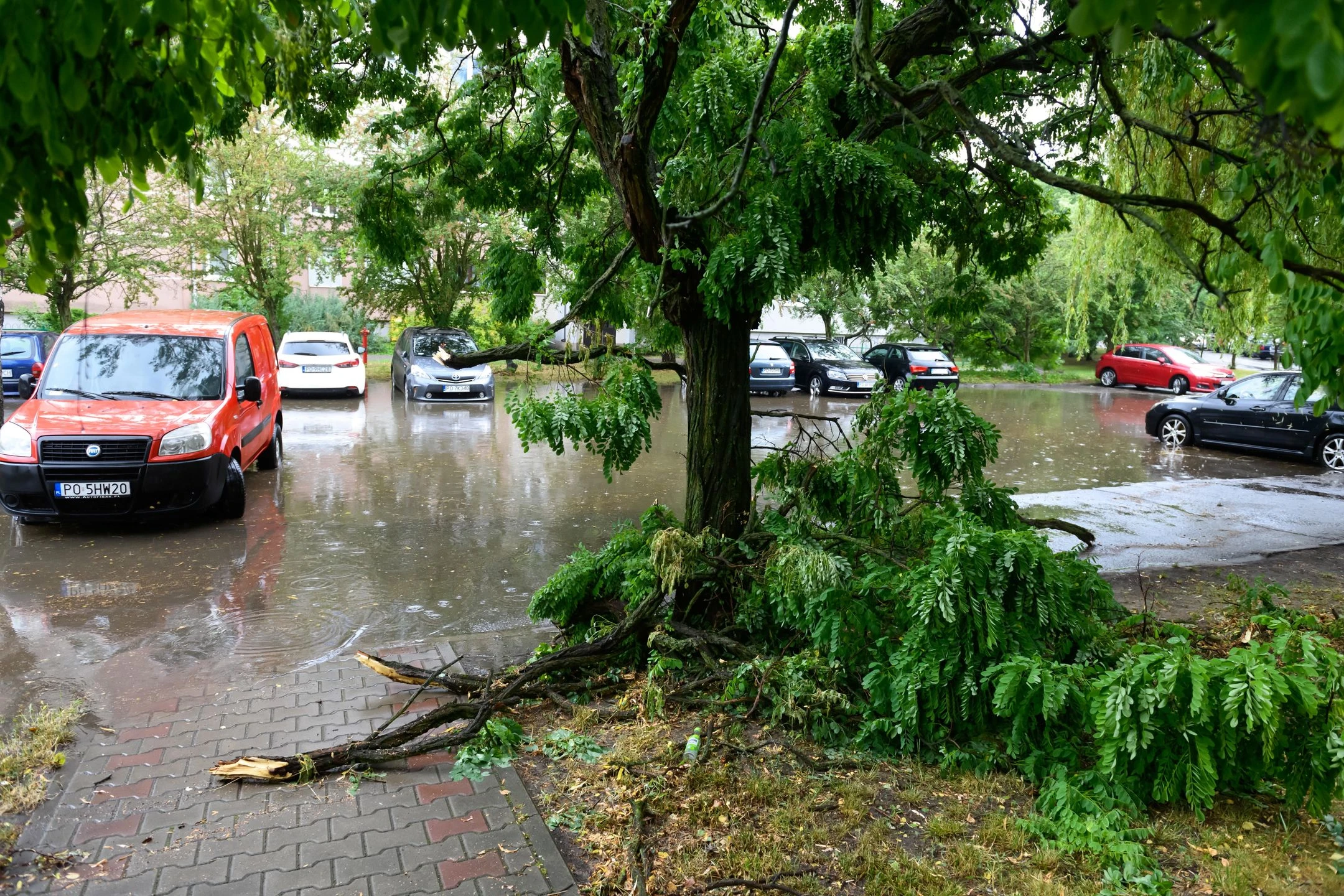 Poznań. Nawałnica przeszła przez stolicę Wielkopolski (GALERIA)