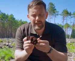 Eksperci ostrzegają. Wiosną w lesie czyha śmiertelne niebezpieczństwo