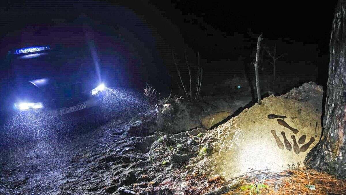 Niebezpieczny spacer po lesie. Po odkryciu wezwał służby