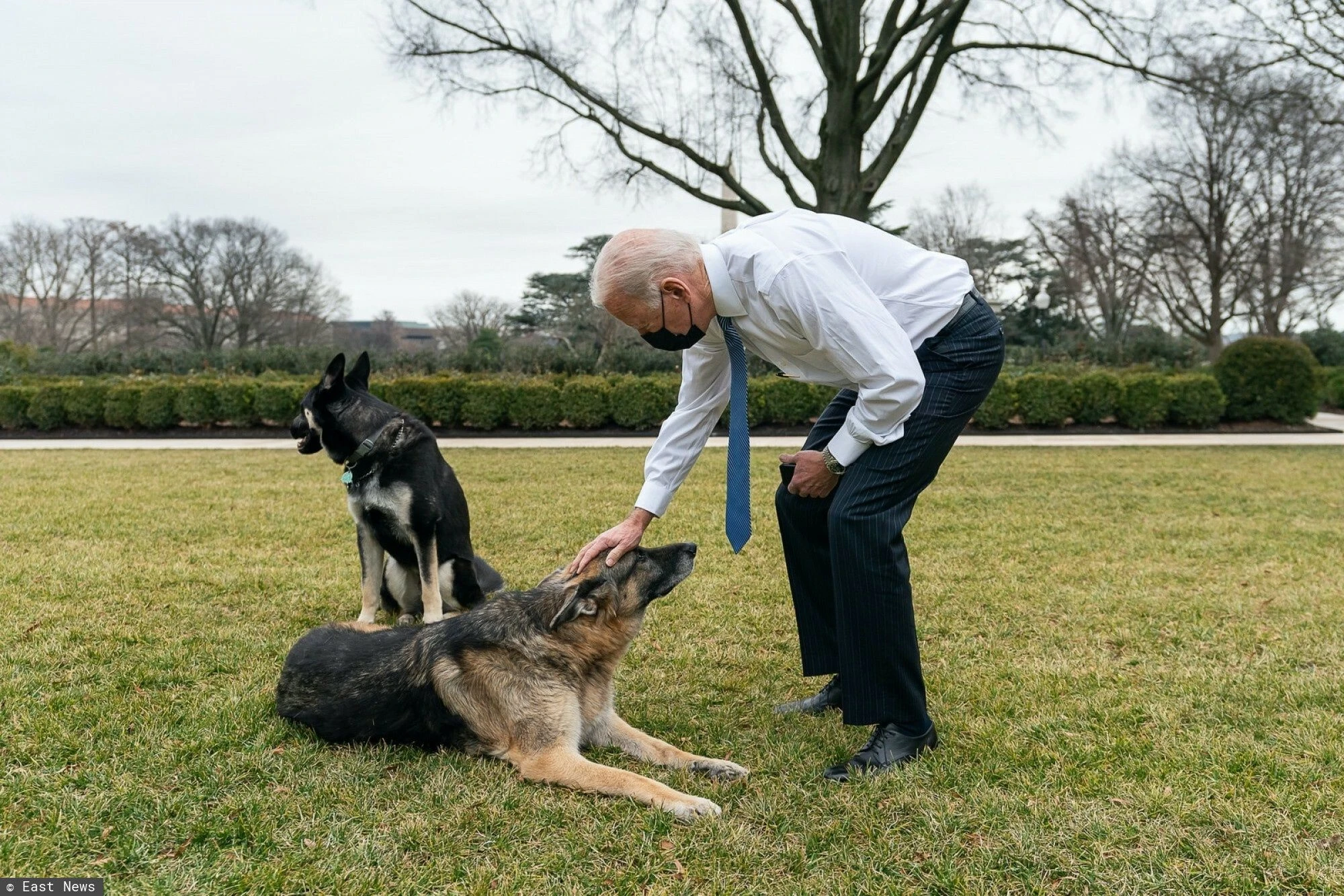 Joe Biden przekazał smutną wiadomość. Zdechł jego pies Champ. 