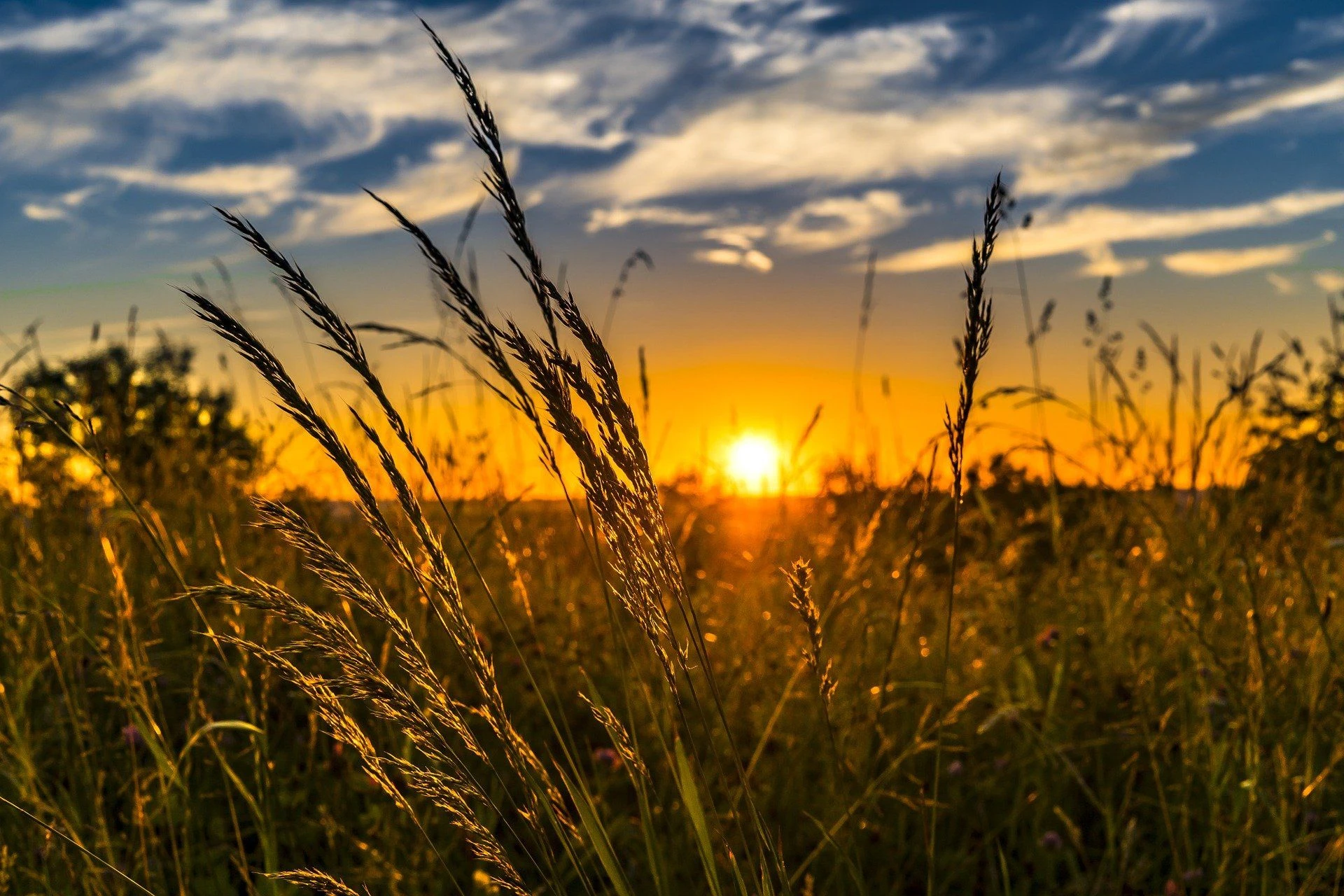 Przesilenie letnie. Dziś najdłuższy dzień roku. Noc Kupały