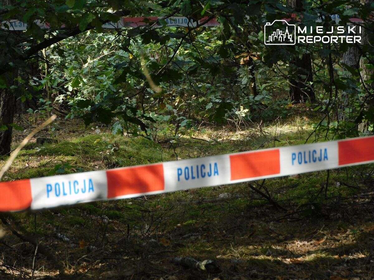 Ojciec poszedł z synkiem na spacer. Dziecko nagle zapadło się pod ziemię