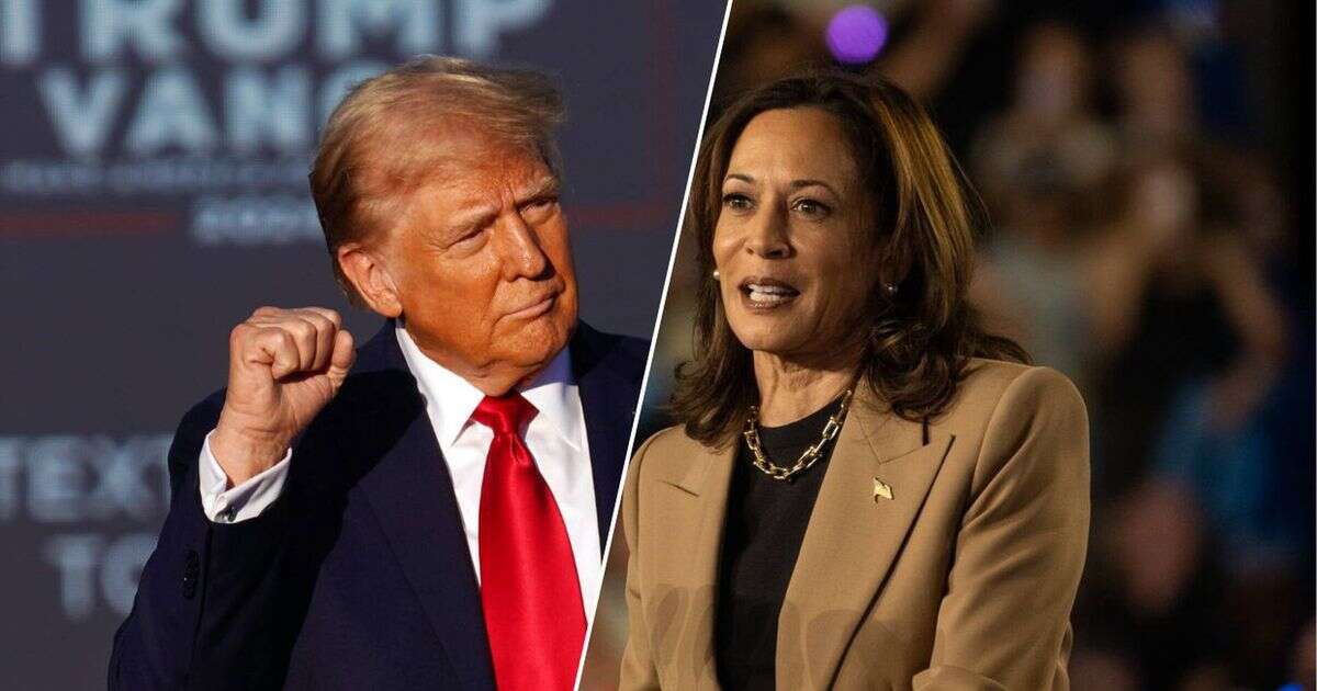 Kamala Harris czy Donald Trump? Polacy już wybrali