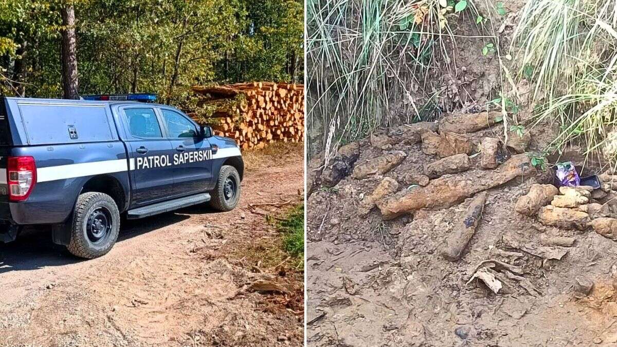 Niebezpiecznie znalezisko w lesie. Skala odkrycia była ogromna