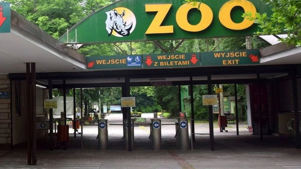Groźny wirus w poznańskim zoo. Zamkną obiekt?